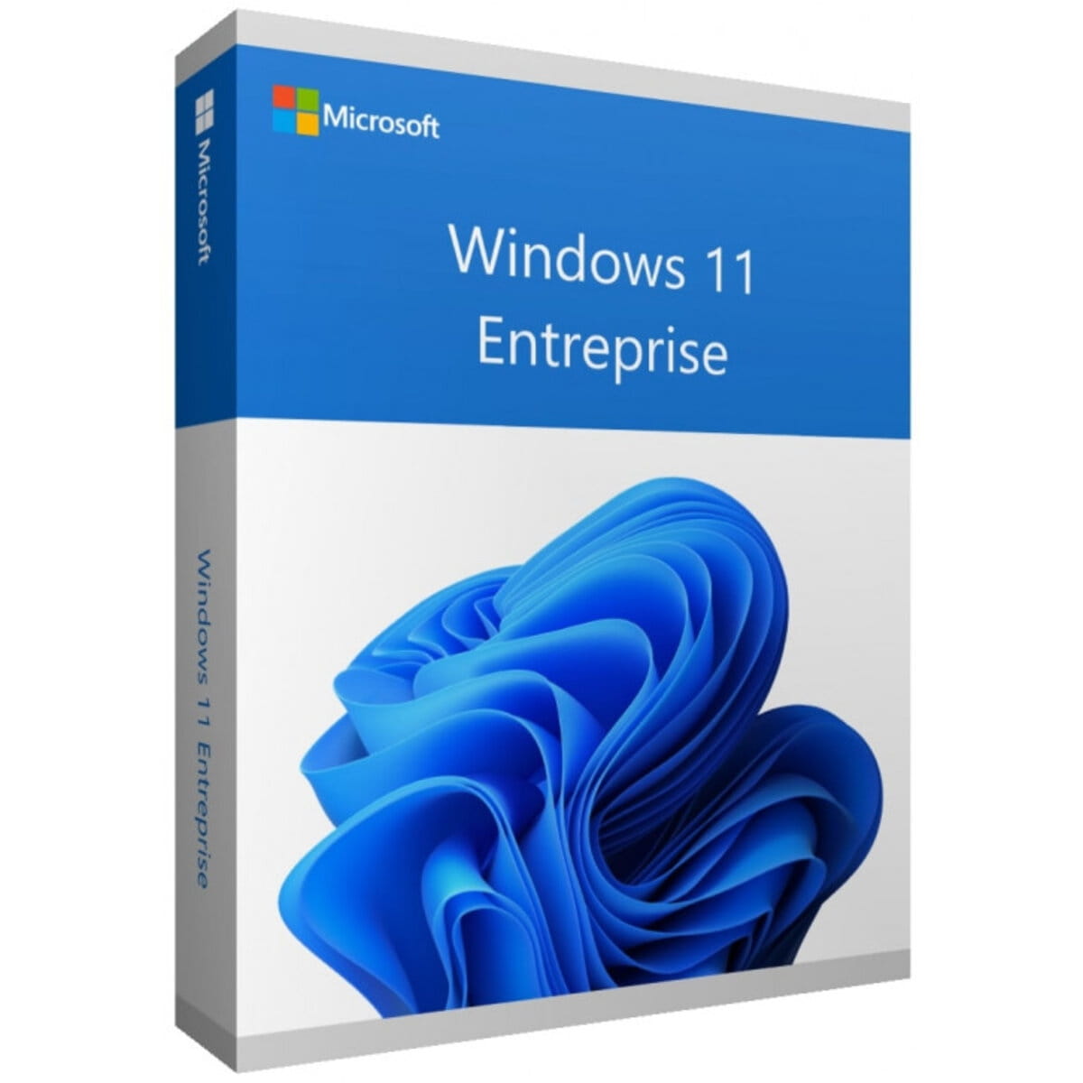 Windows 11 Entreprise