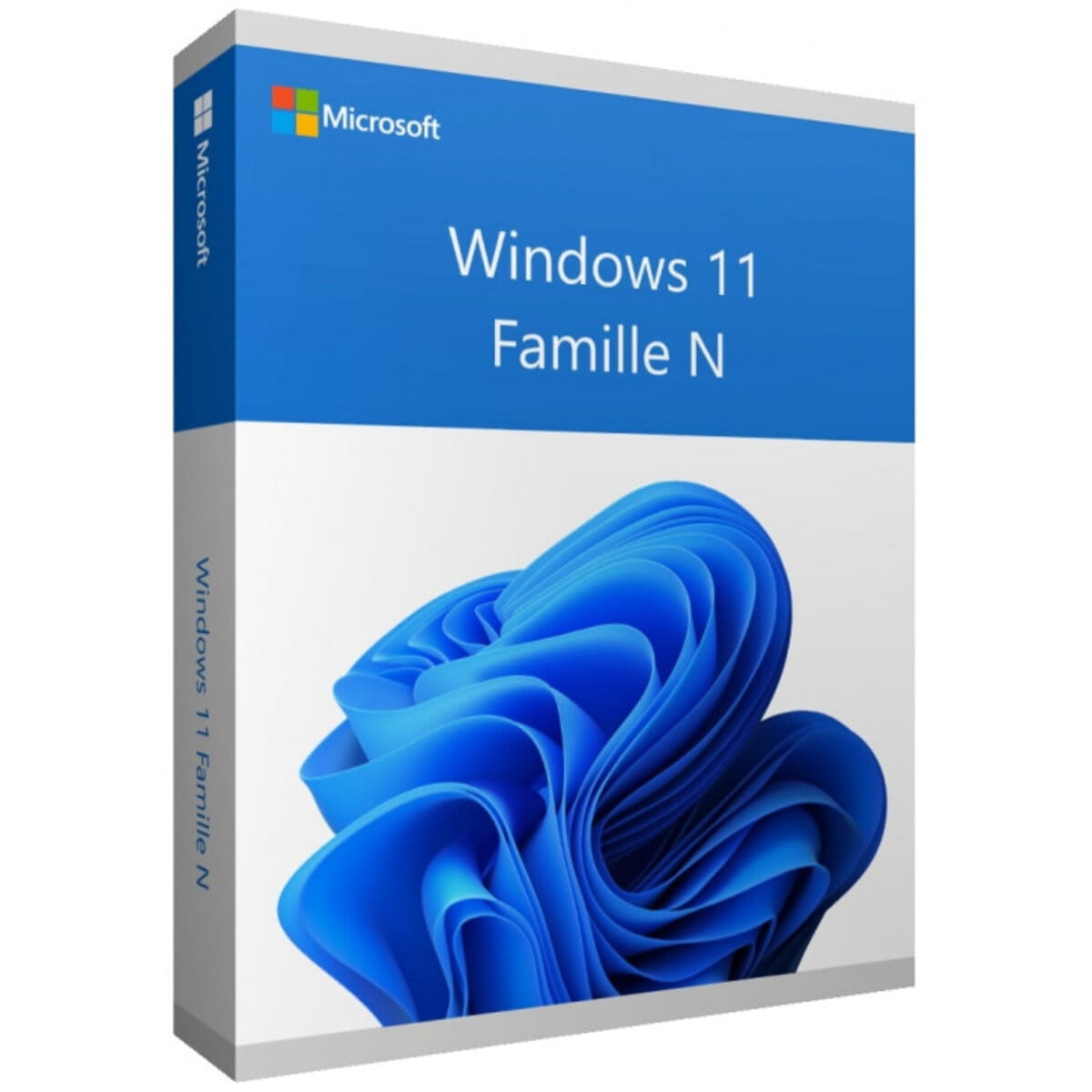 Windows 11 Famille N