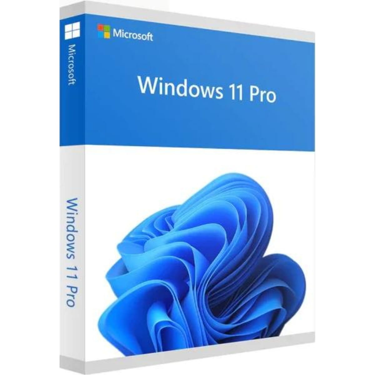 Windows 11 Profesional