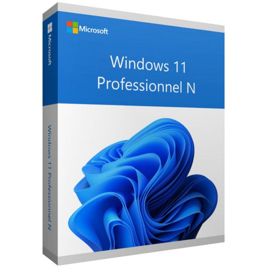 Windows 11 Professionnel N